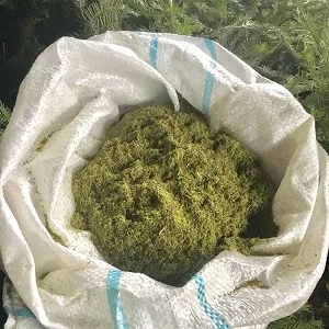 Производство еловой муки