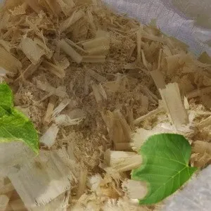 Лиственные опилки оптом в Краснодаре от завода-производителя Лигнум Ресурс