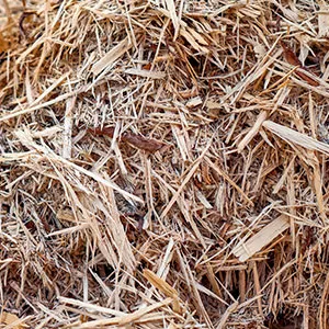 Щепа для арболита оптом в Краснодаре и других различных марок заказать от 16 тонн